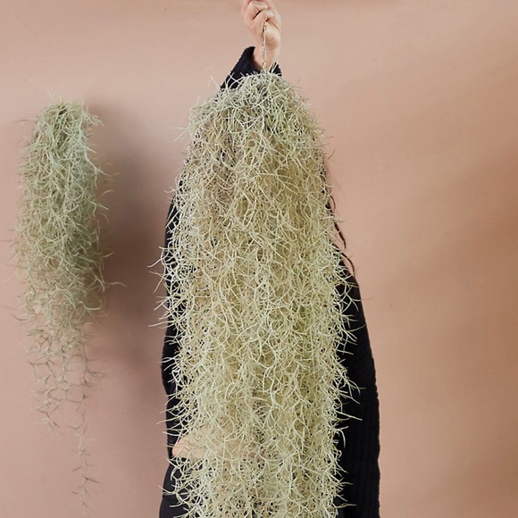 🕯✨Handwoven 100% Genuine Leather & Cotton Celestial Journal ✨🕯Spellbook … - Picture 13 of 17